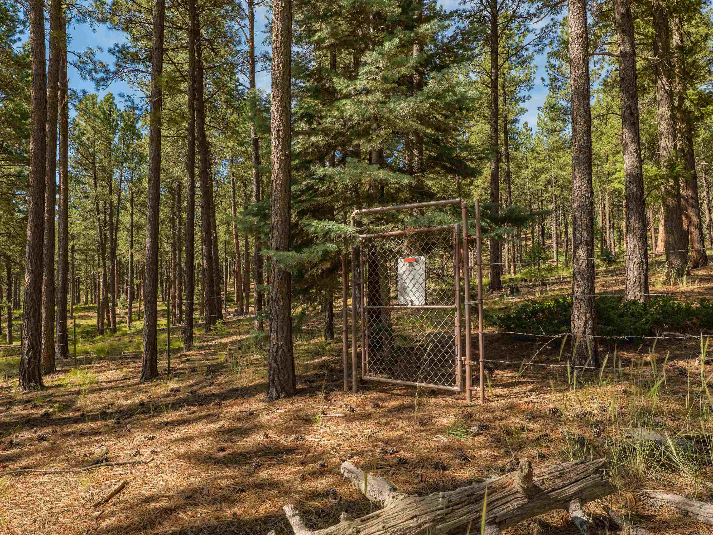 Angel Fire, New Mexico 87710, United States, 6 Bedrooms Bedrooms, ,4 BathroomsBathrooms,Residential,Active,181511