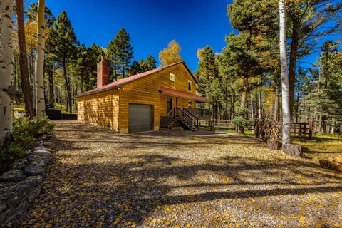 Homes For Sale - 14 Chino Terrace<br/> Angel Fire, NM 87710