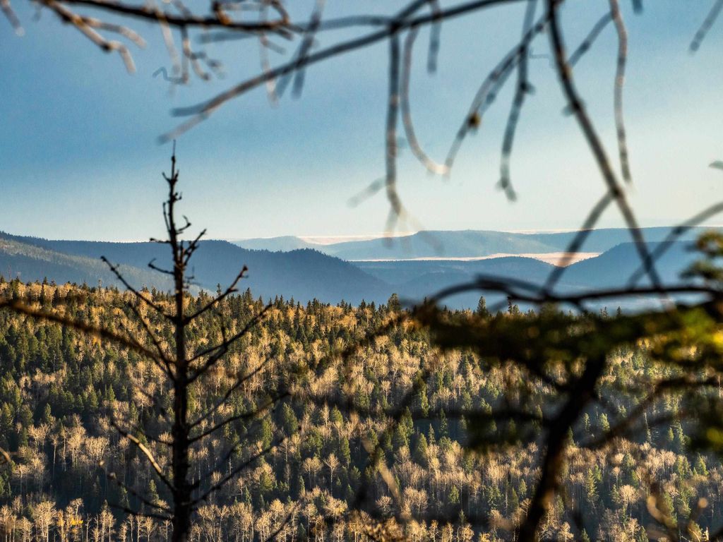 Photo of 1306A Pleasant Valley Overlook, Angel Fire, NM 87710 (MLS # 114291)