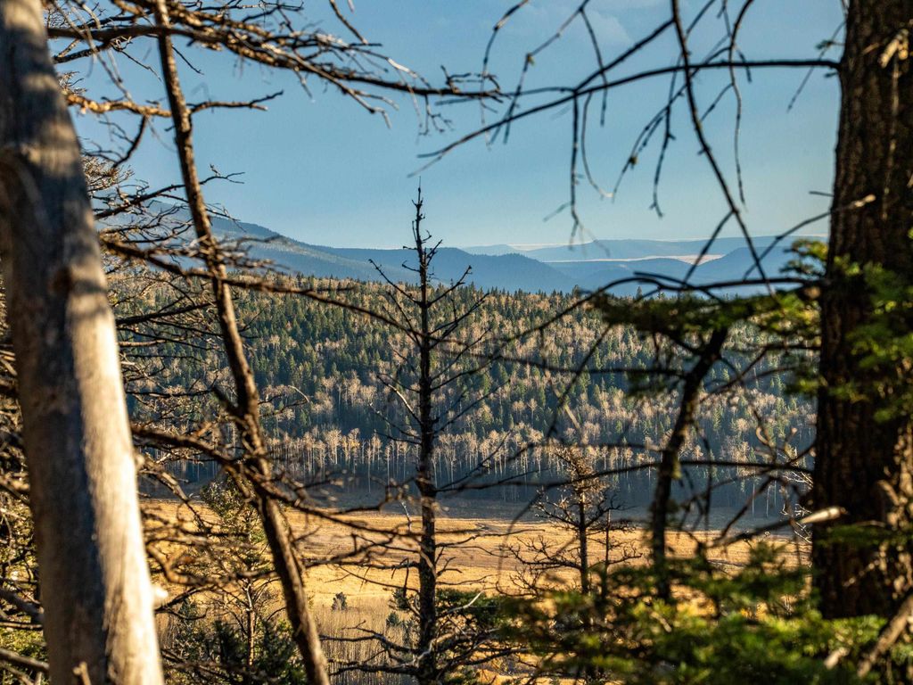 Photo of 1306A Pleasant Valley Overlook, Angel Fire, NM 87710 (MLS # 114291)