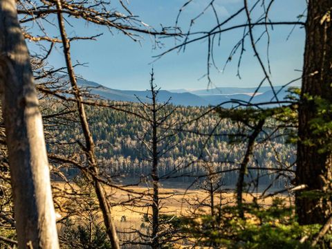 Photo of 1306A Pleasant Valley Overlook, Angel Fire, NM 87710 (MLS # 114291)