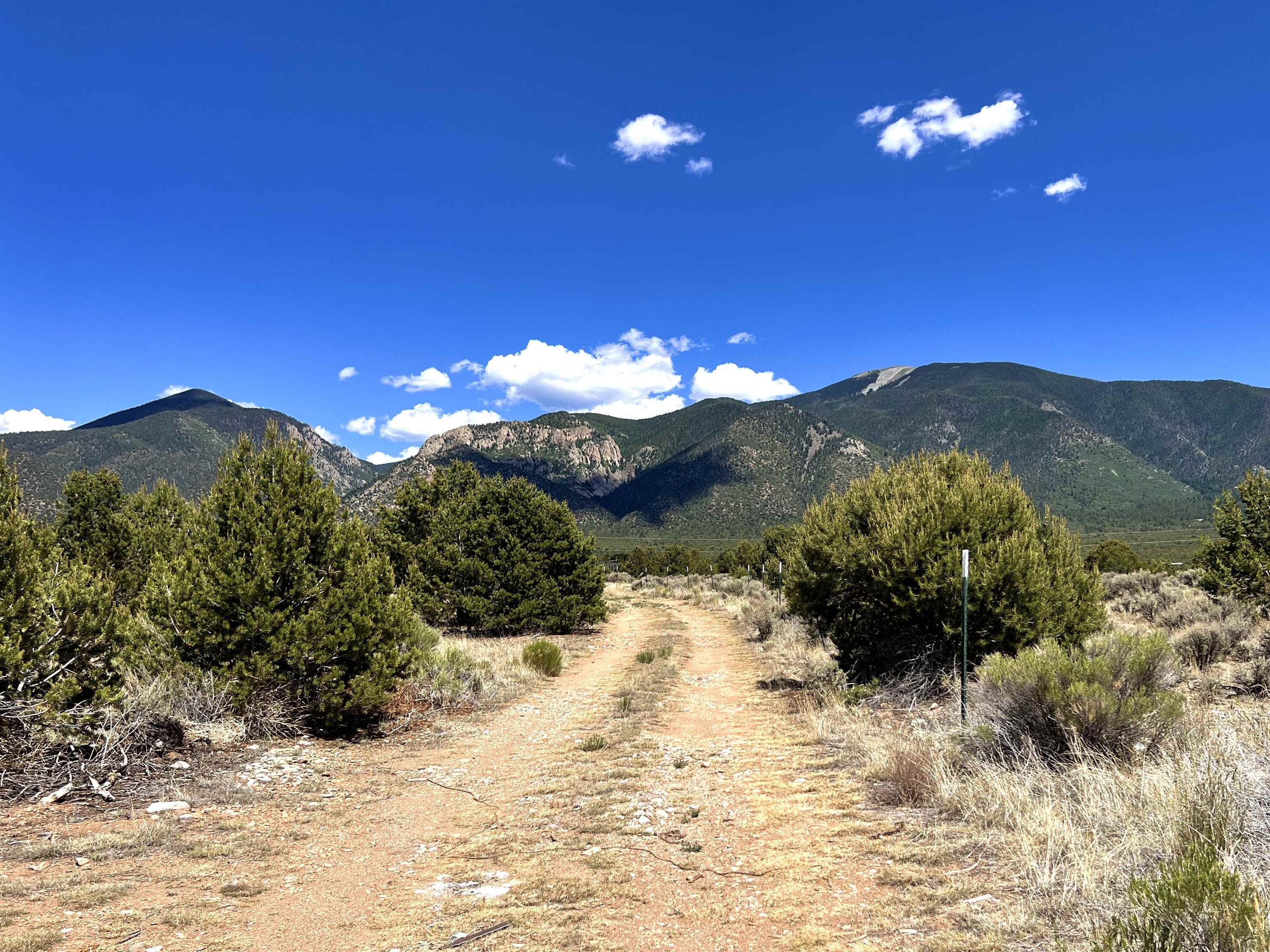 Multiple Storage Sheds