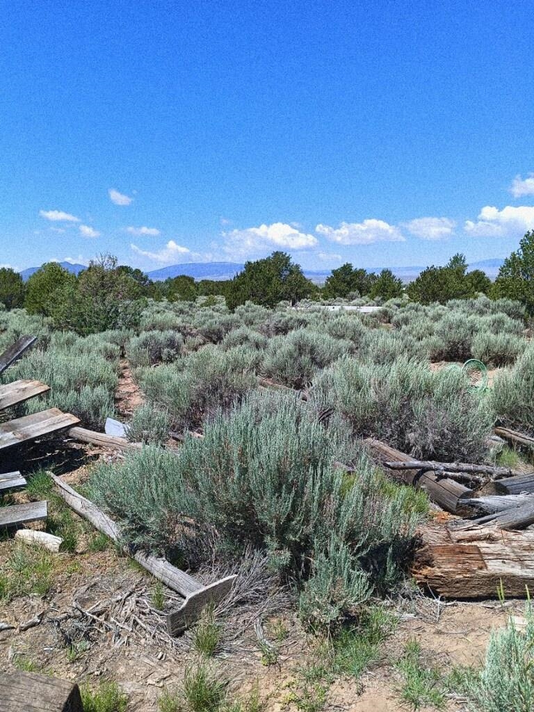 34 Latir Rd, Questa, New Mexico image 6