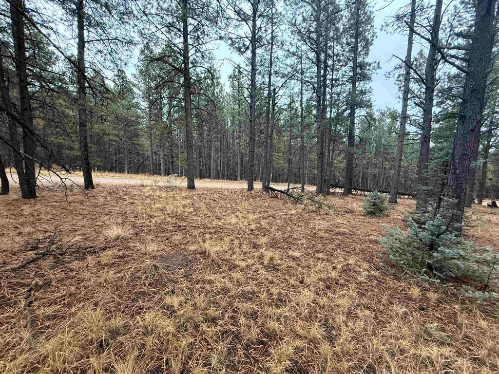 Photo of Lot 122 San Juan Dr, Angel Fire, NM 87710 (MLS # 114315)