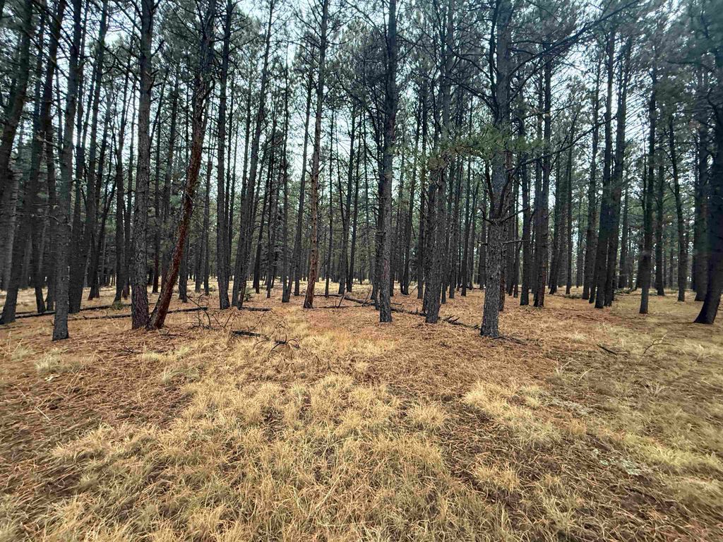 Photo of Lot 122 San Juan Dr, Angel Fire, NM 87710 (MLS # 114315)