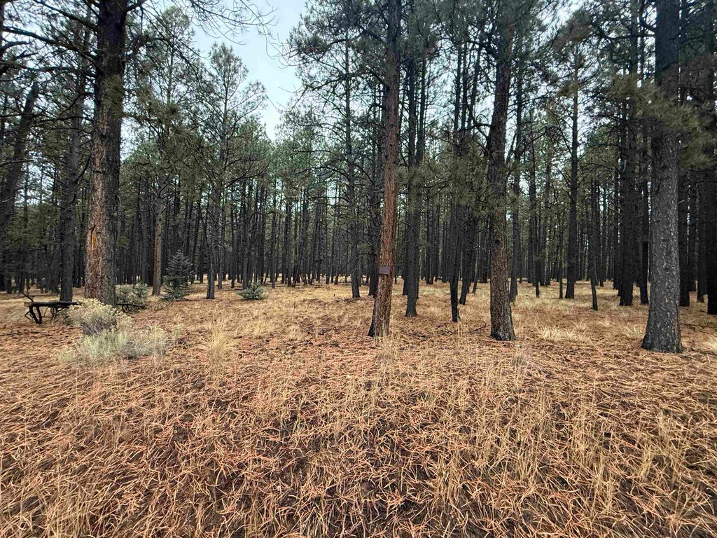 Photo of Lot 122 San Juan Dr, Angel Fire, NM 87710 (MLS # 114315)
