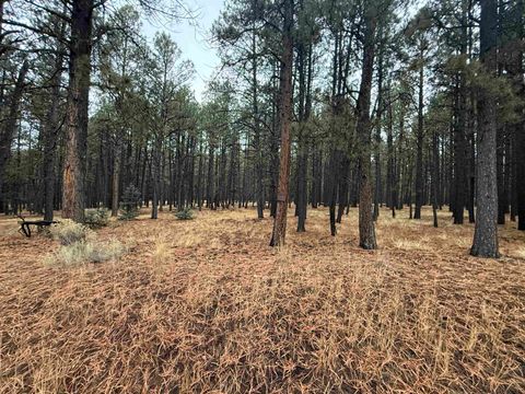 Photo of Lot 122 San Juan Dr, Angel Fire, NM 87710 (MLS # 114315)