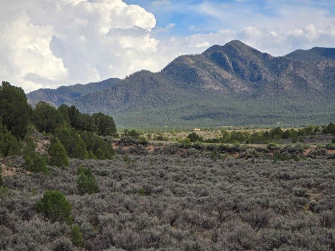 Vacant Land For Sale - TBD County Road 110 Plz<br/> Taos County, Ranchos de Taos, NM 87557