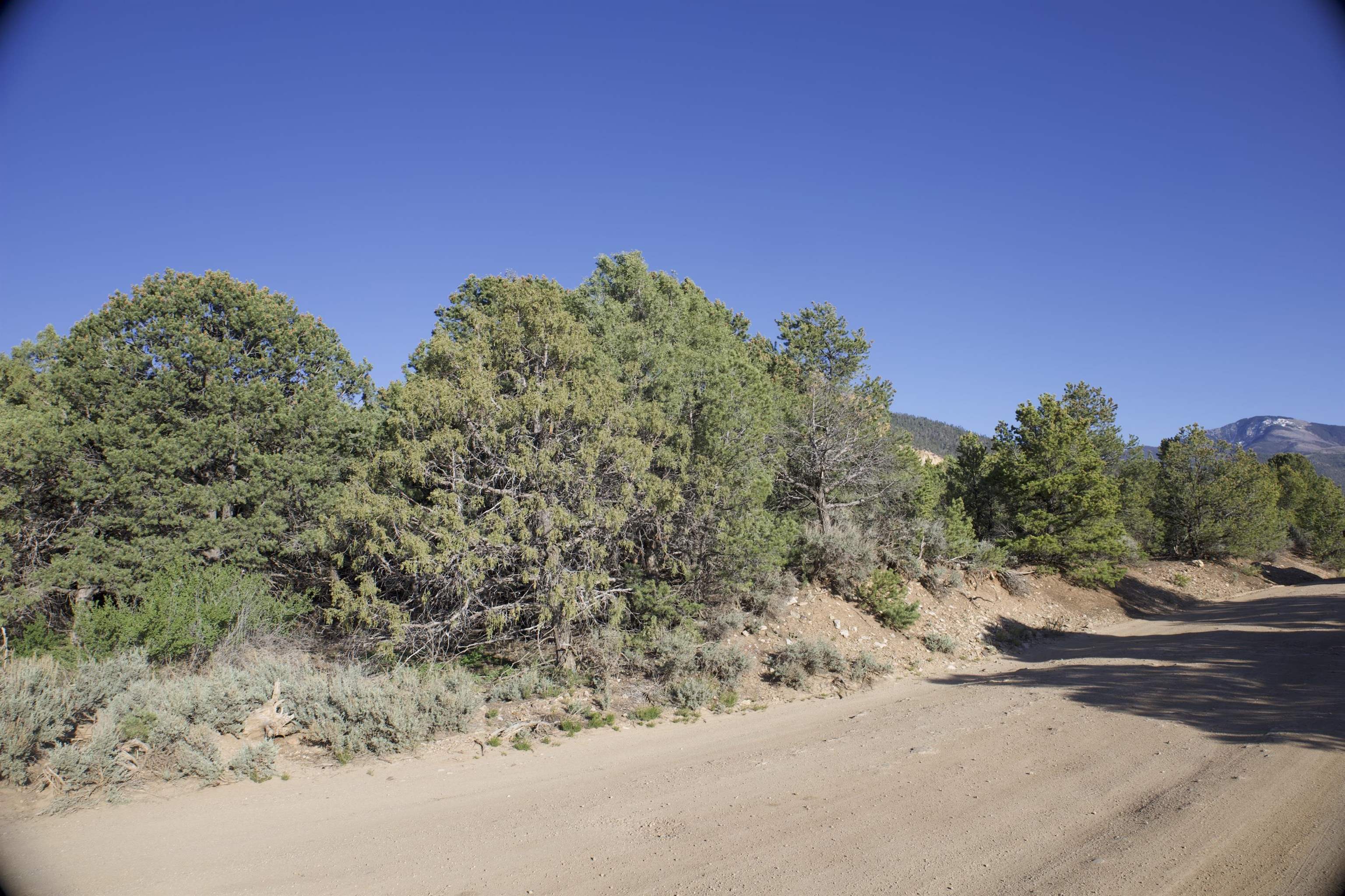 Lot 14 Llano Rd, Questa, New Mexico image 1