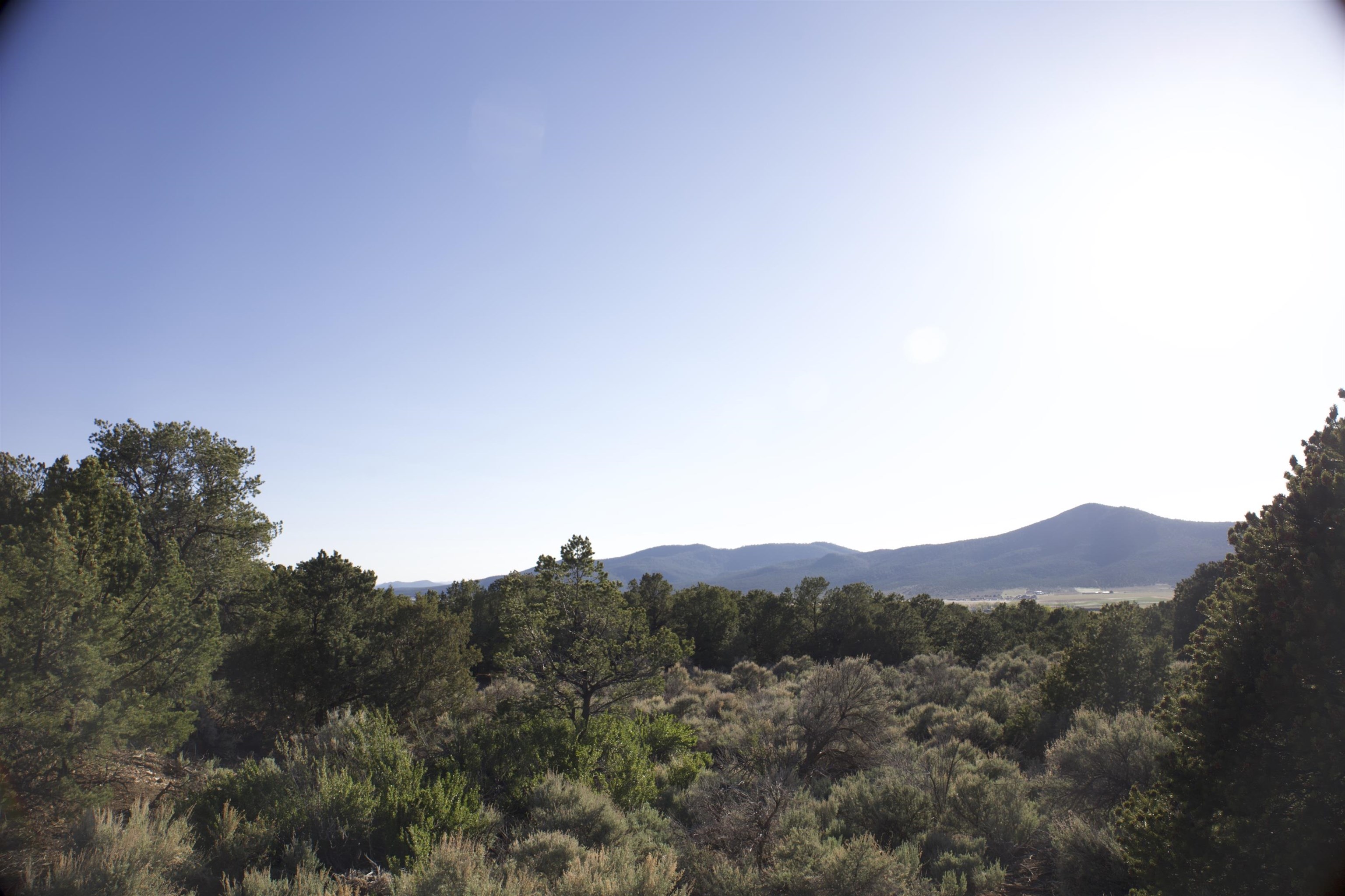 Lot 14 Llano Rd, Questa, New Mexico image 2