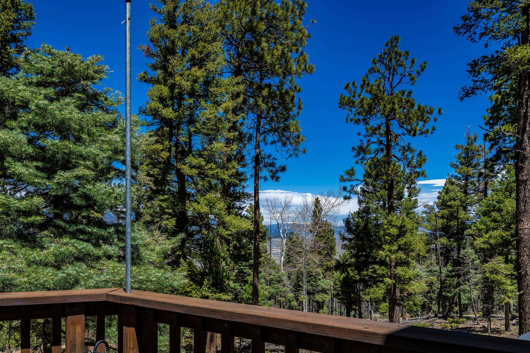 74 Vail Loop, Angel Fire, New Mexico image 15