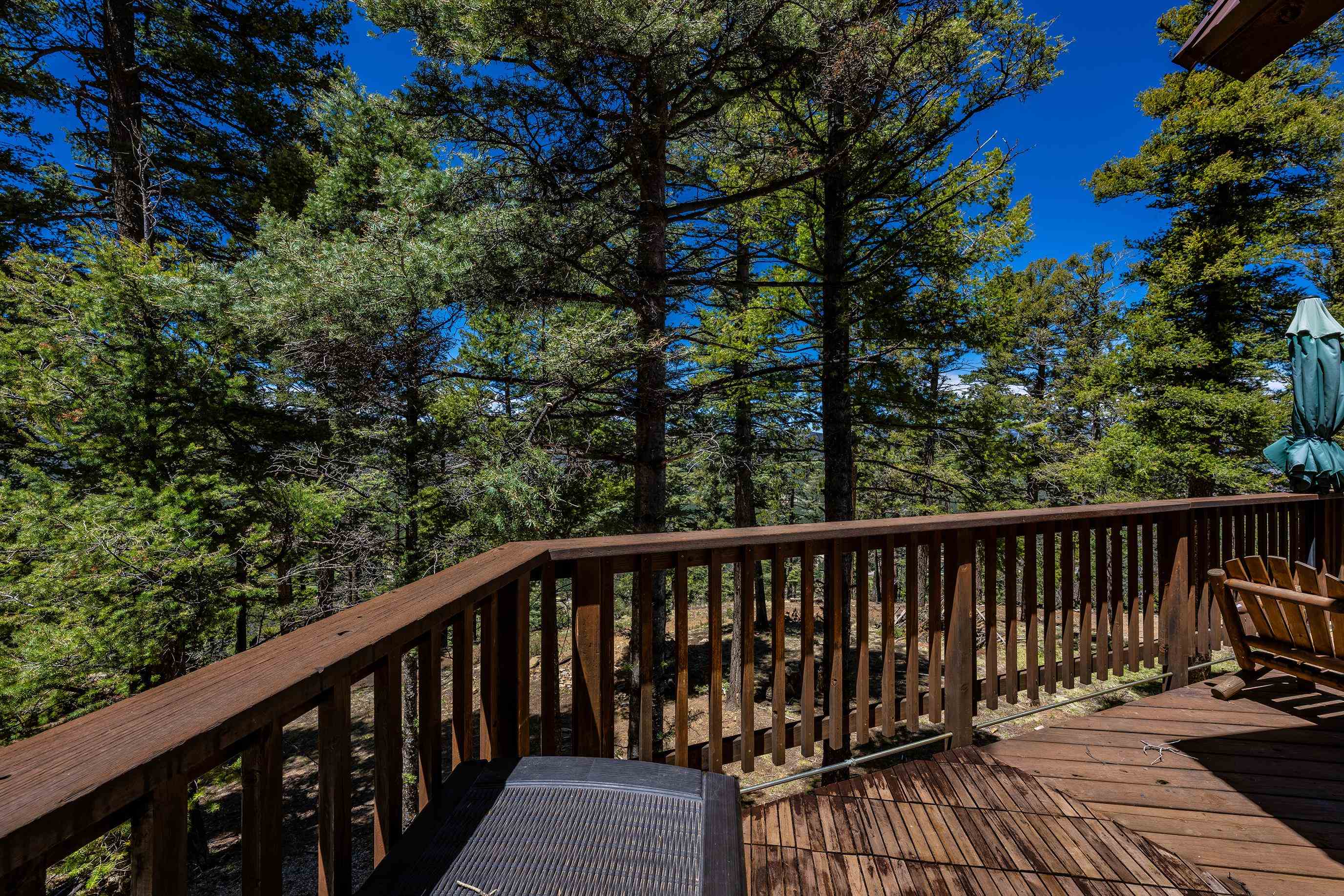74 Vail Loop, Angel Fire, New Mexico image 11