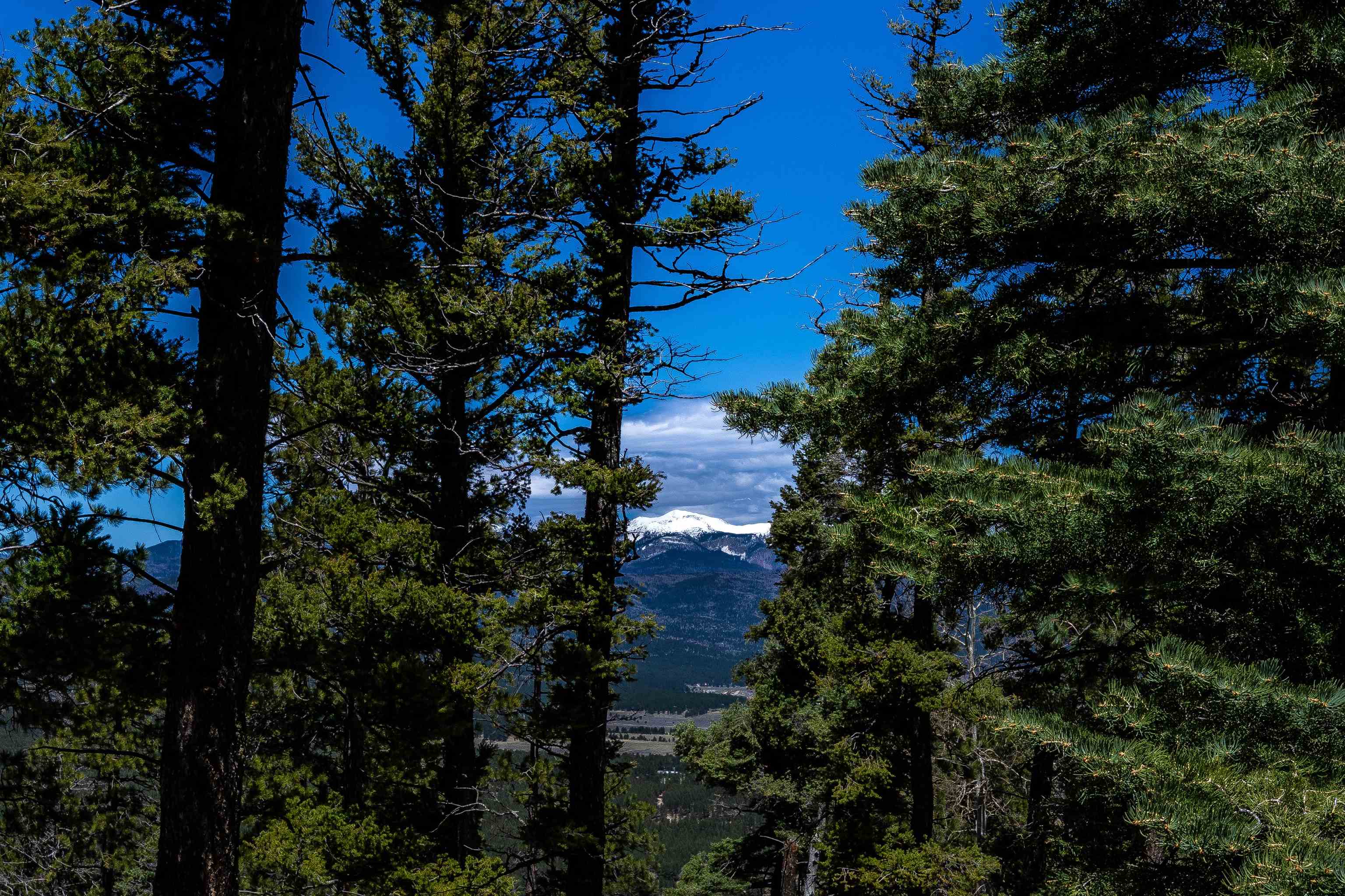 74 Vail Loop, Angel Fire, New Mexico image 13