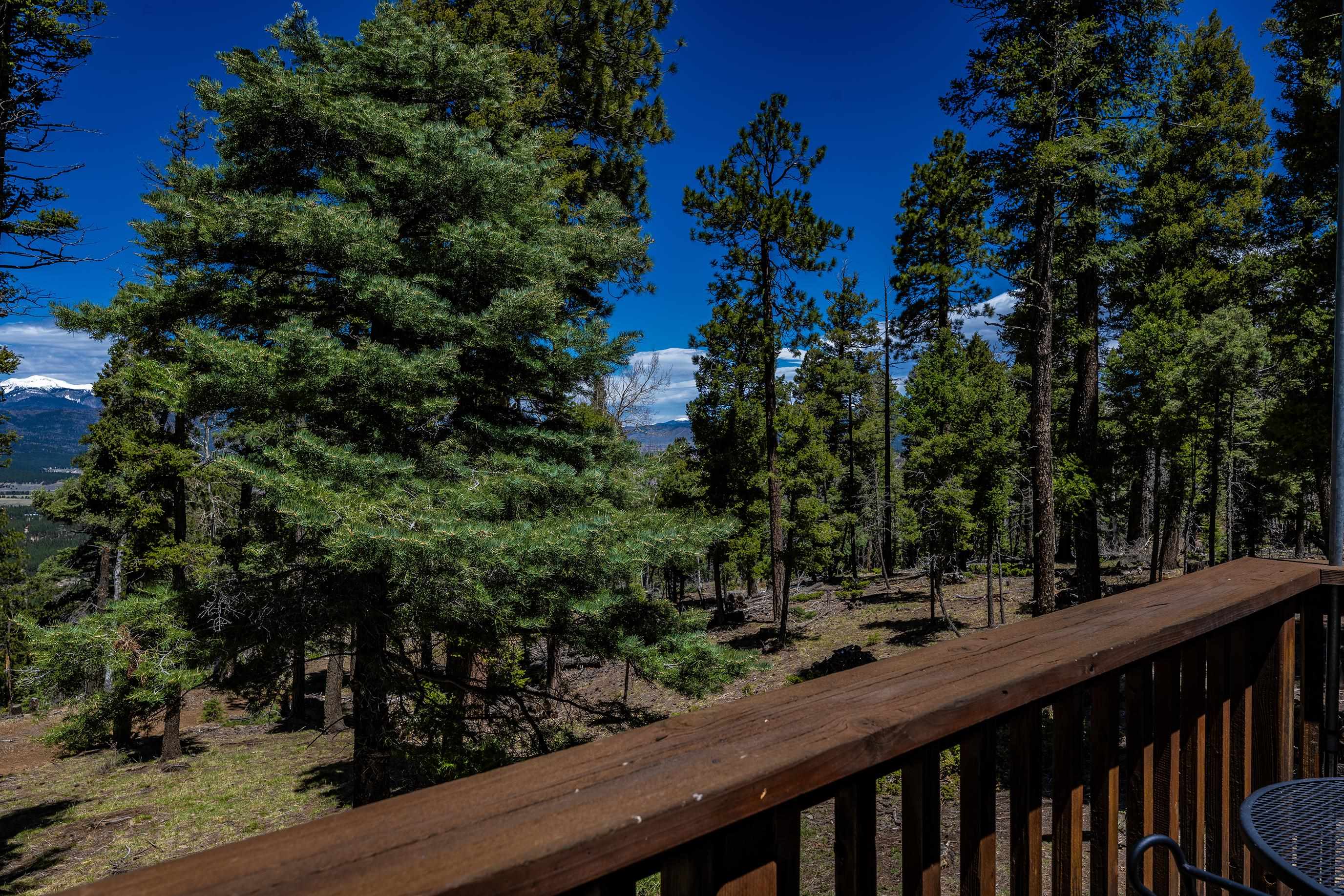 74 Vail Loop, Angel Fire, New Mexico image 27