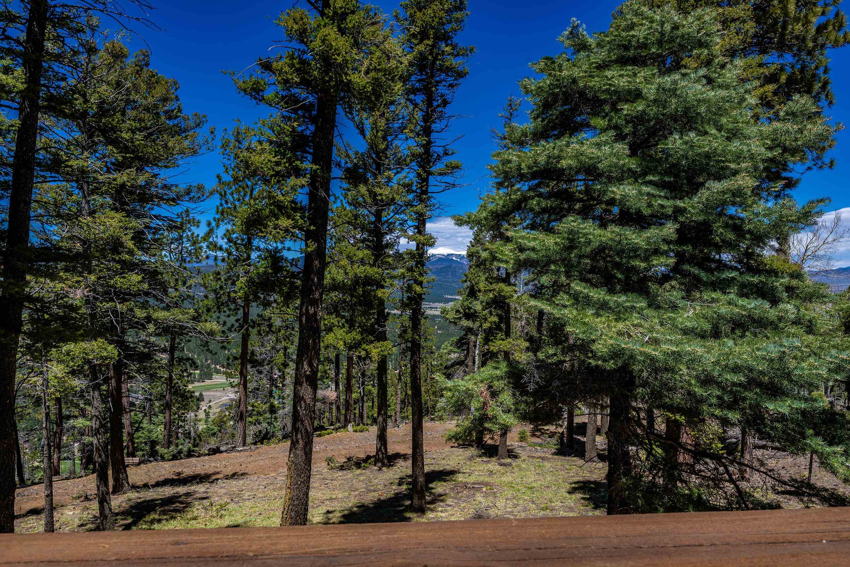 74 Vail Loop, Angel Fire, New Mexico image 25