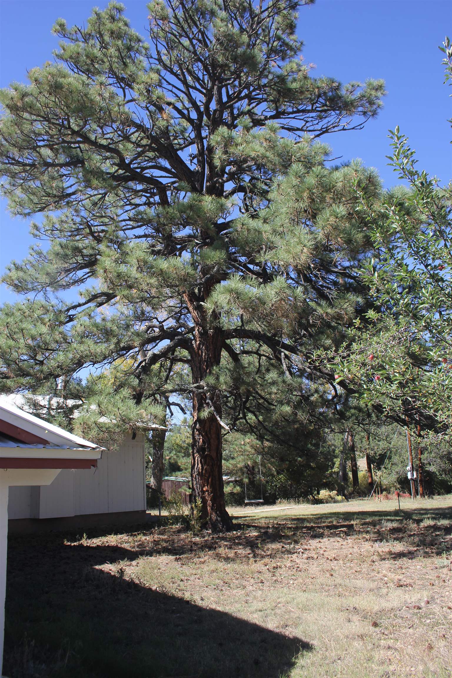 55 Hummingbird Lane, Ute Park, New Mexico image 11