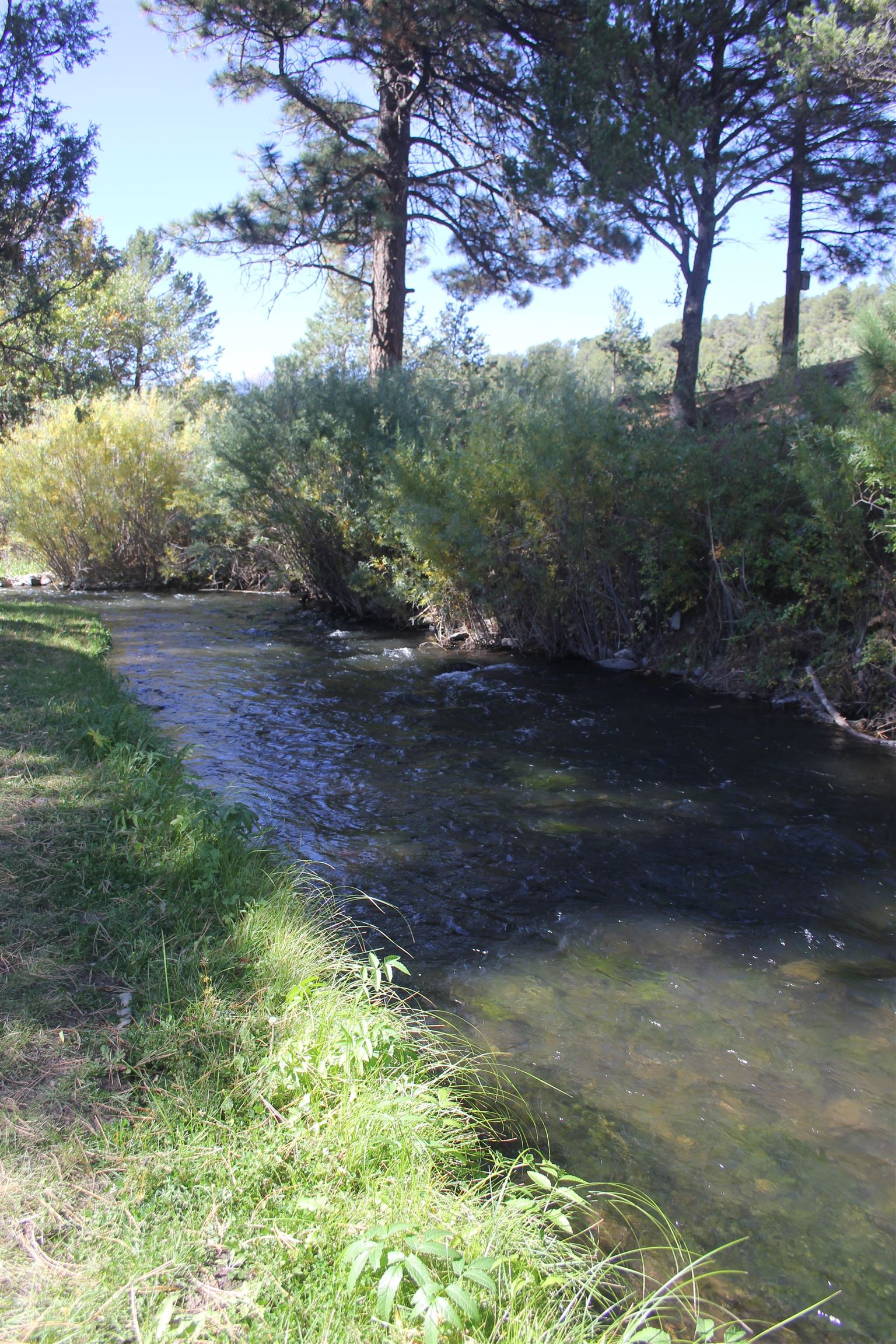 55 Hummingbird Lane, Ute Park, New Mexico image 13