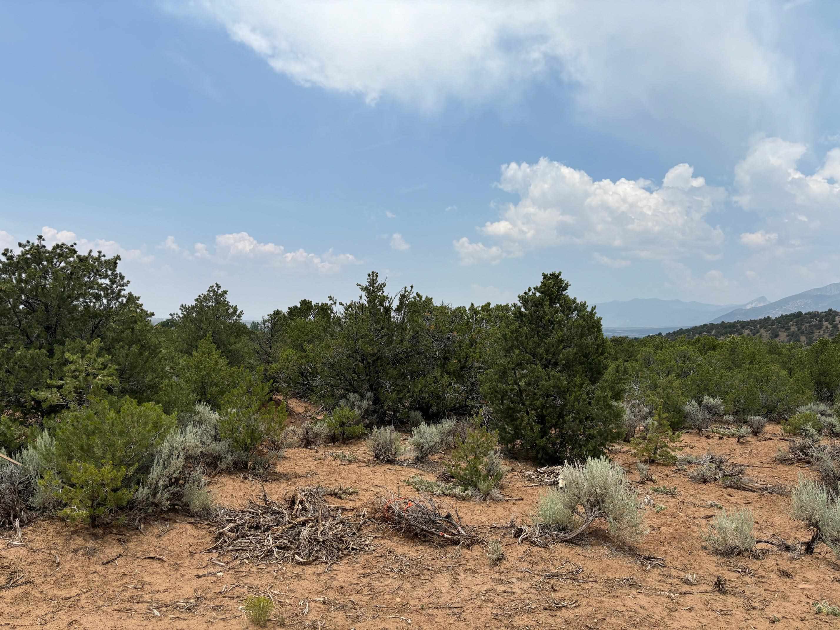 Lot 5 Canon Court, Taos, New Mexico image 6