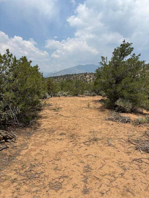 Homes For Sale - LOT 5 Canon Court<br/> Taos County, Taos, NM 87571