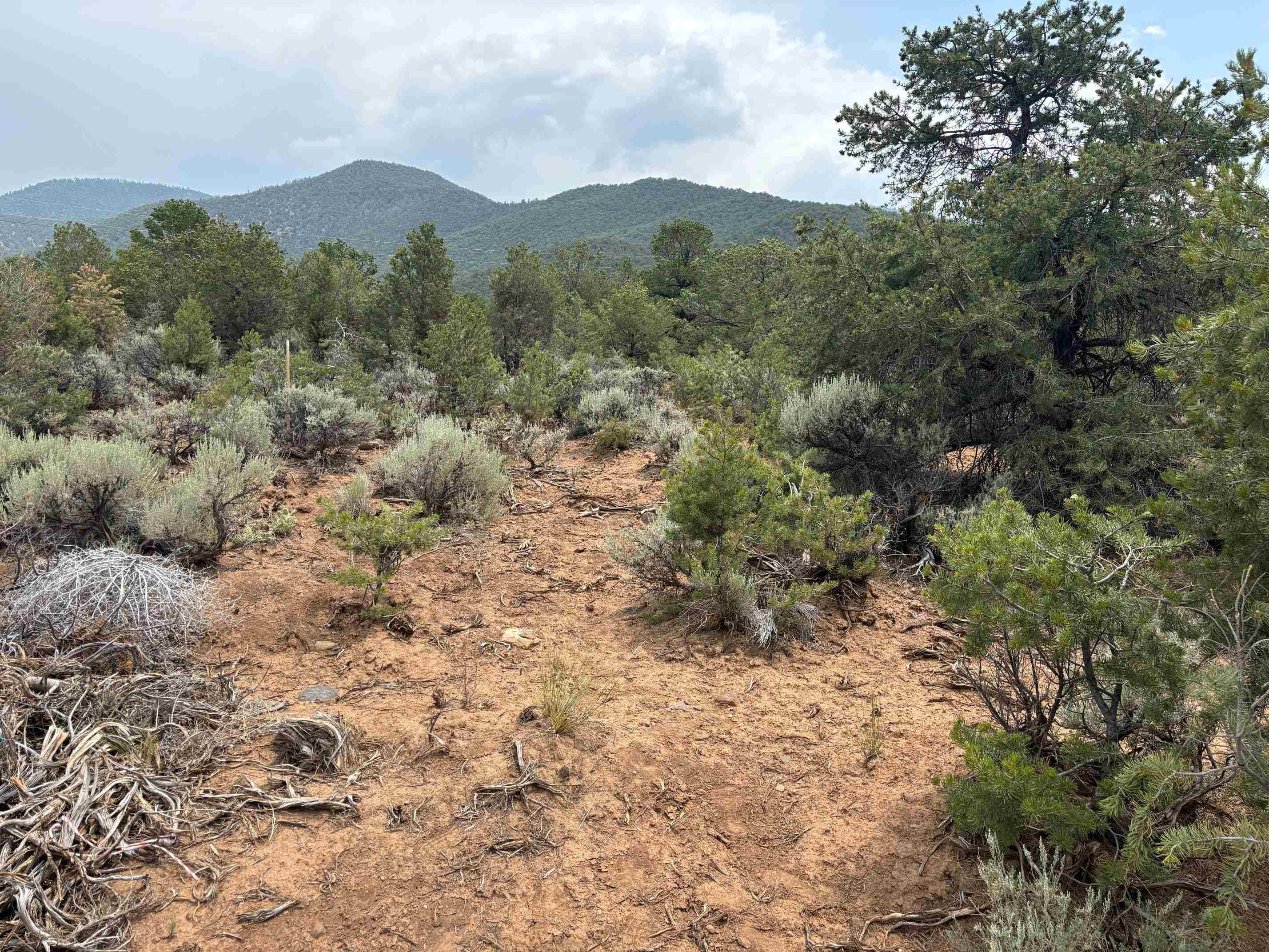 Lot 5 Canon Court, Taos, New Mexico image 2