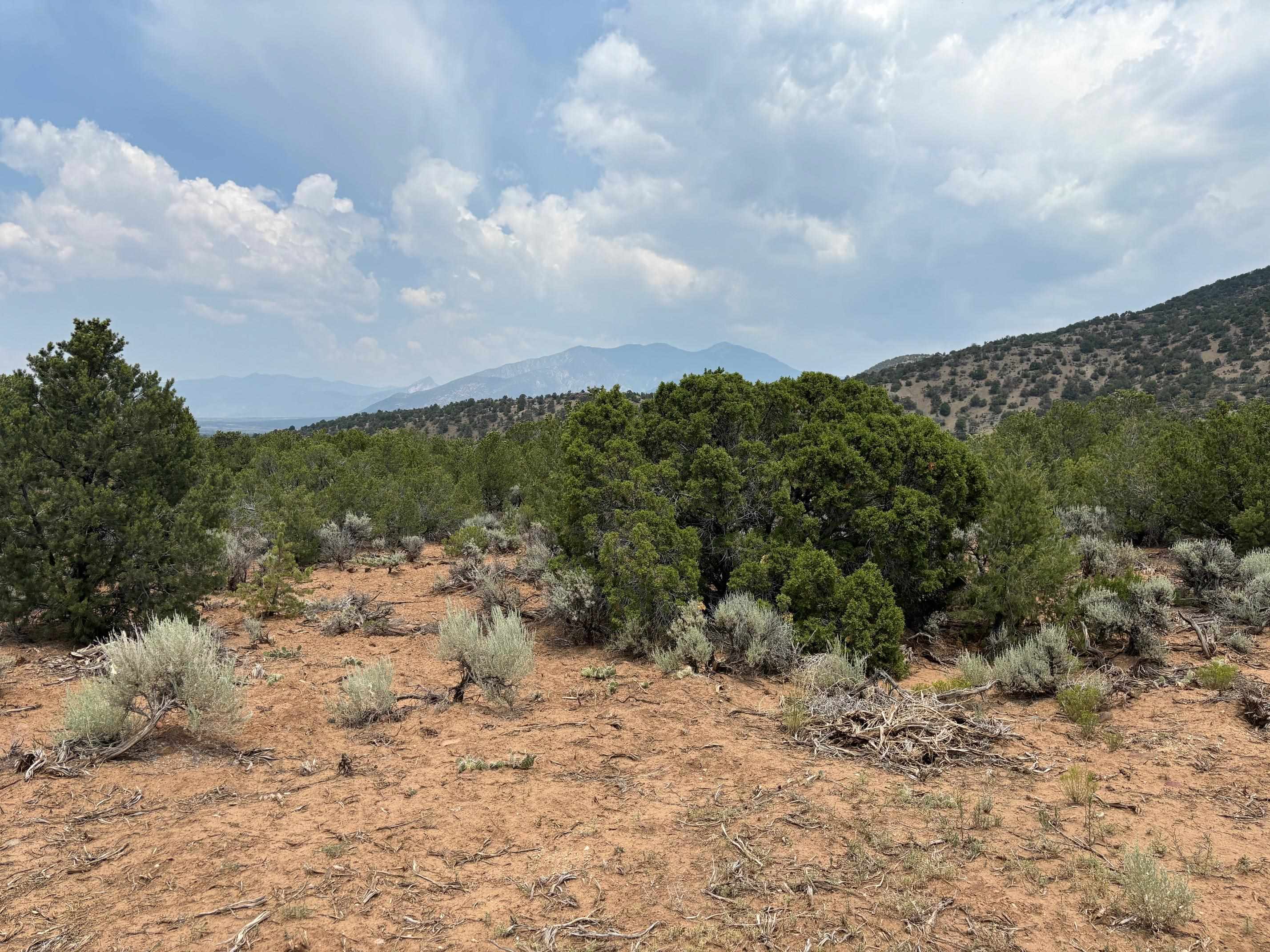 Lot 5 Canon Court, Taos, New Mexico image 10