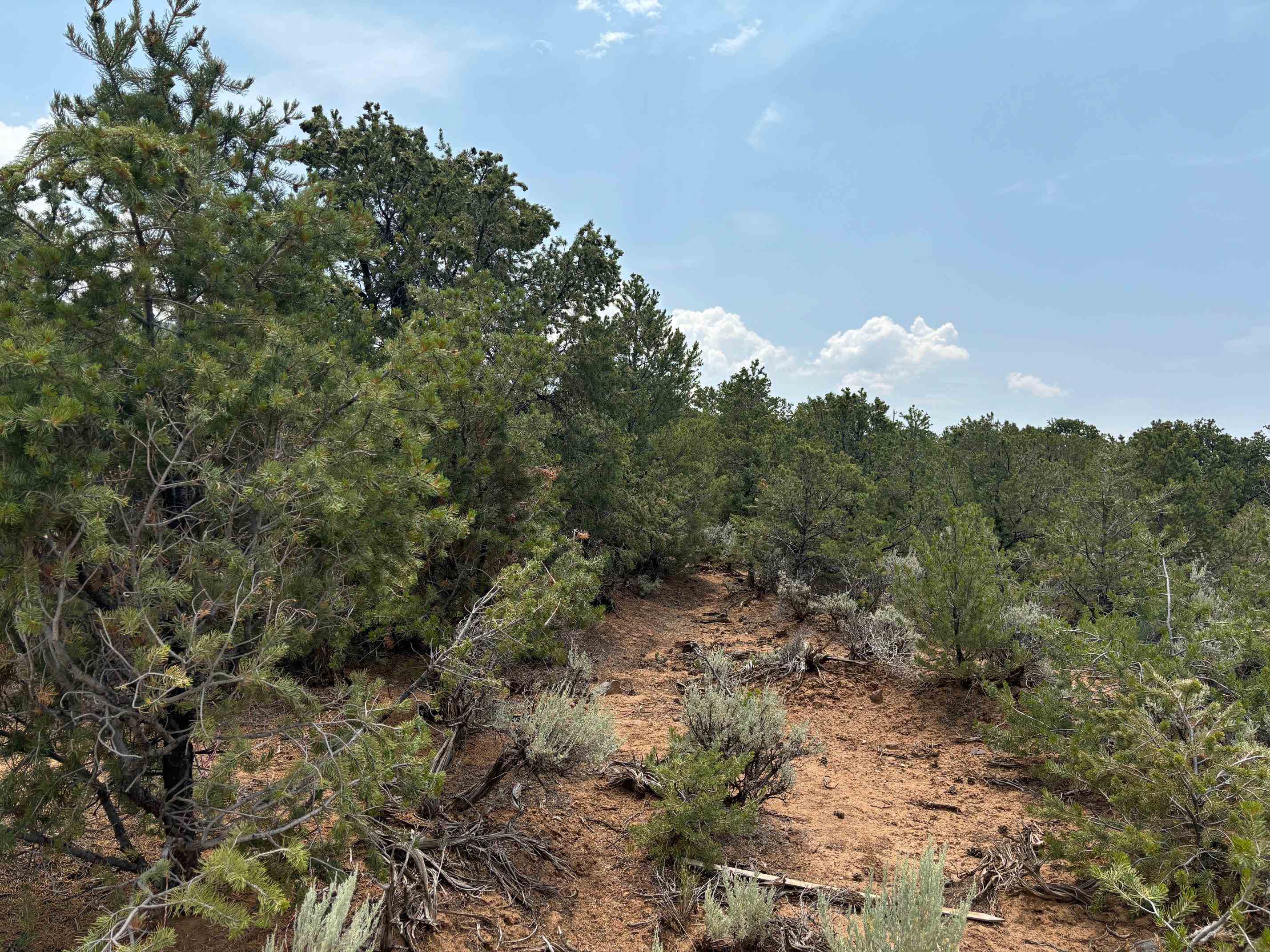 Lot 5 Canon Court, Taos, New Mexico image 11