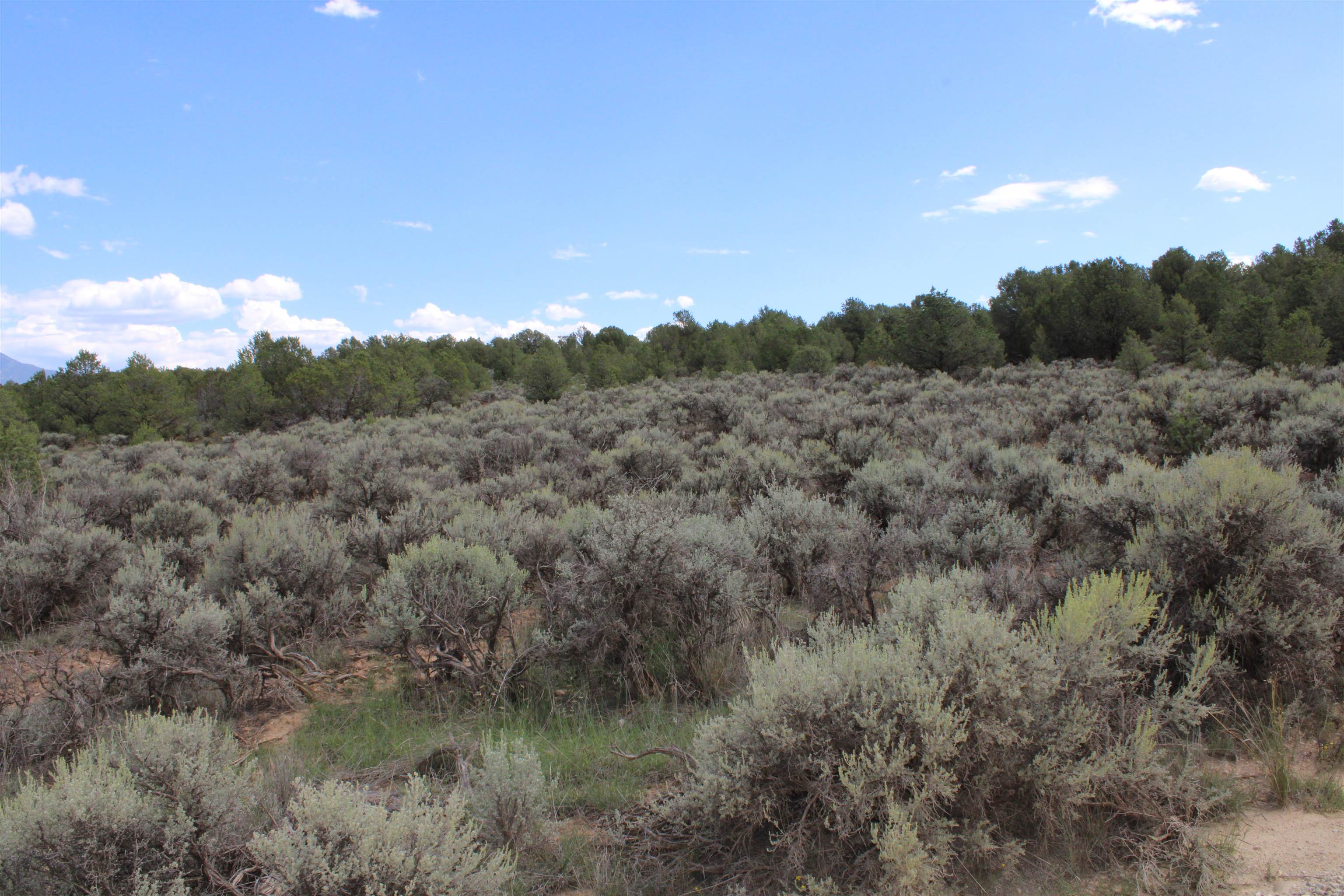 Tract 12 Trementina Road, Arroyo Hondo, New Mexico image 7