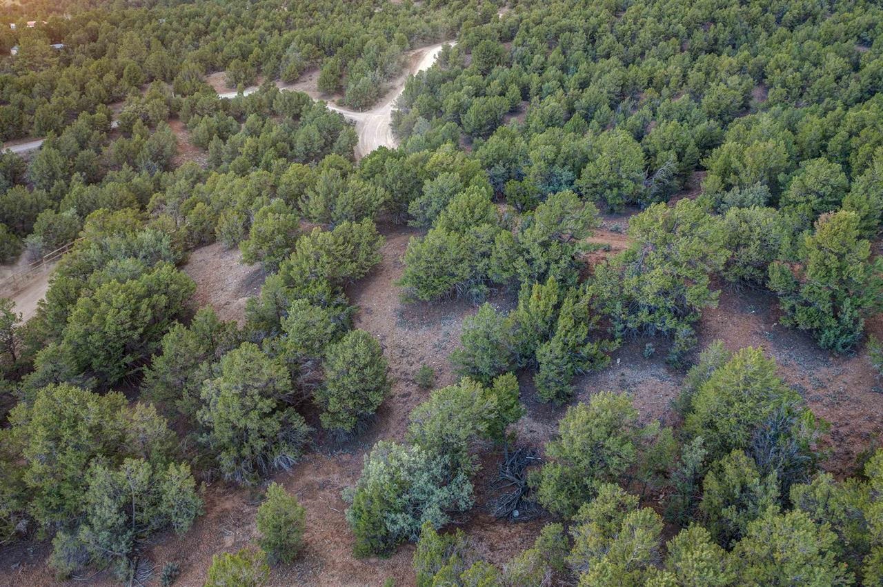 TBD Gallina Canyon Rd, Valdez, New Mexico image 20