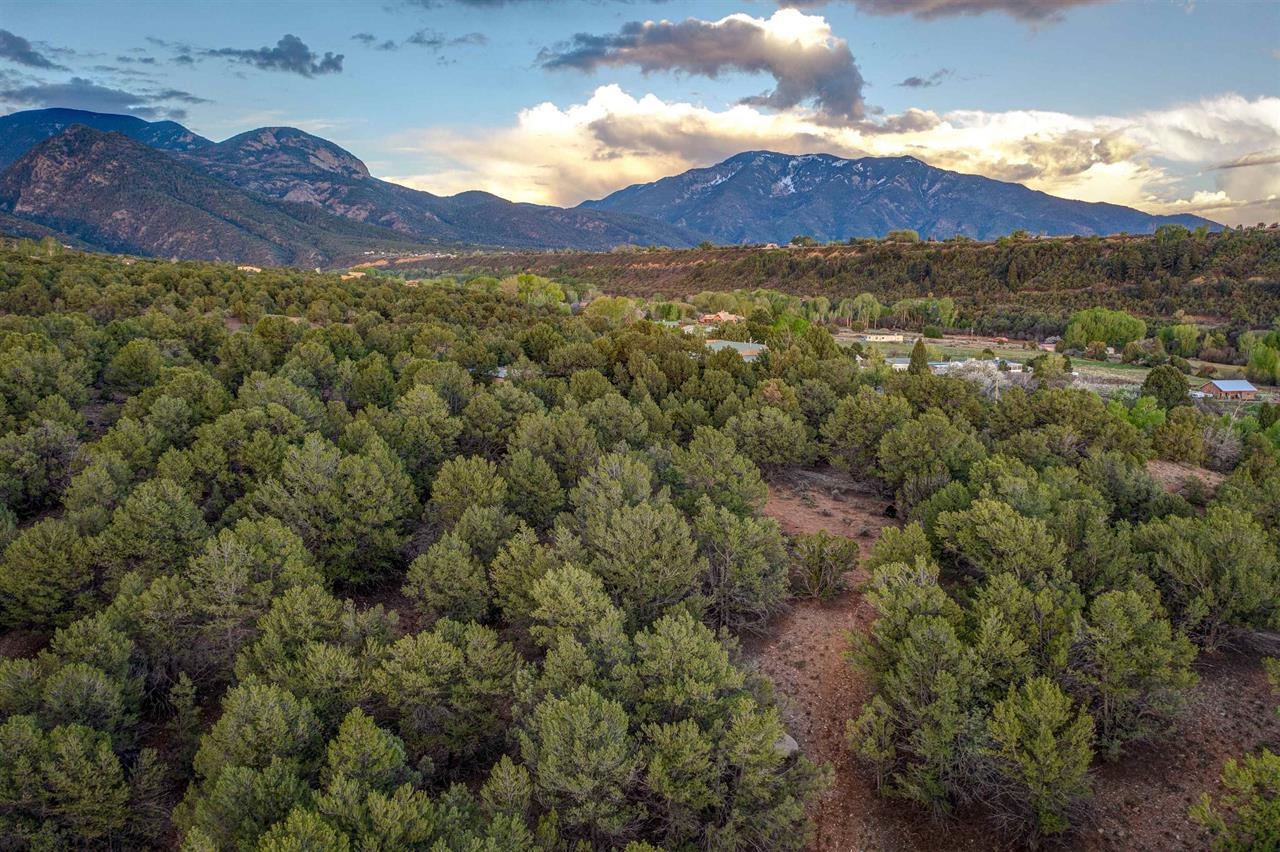 TBD Gallina Canyon Rd, Valdez, New Mexico image 17