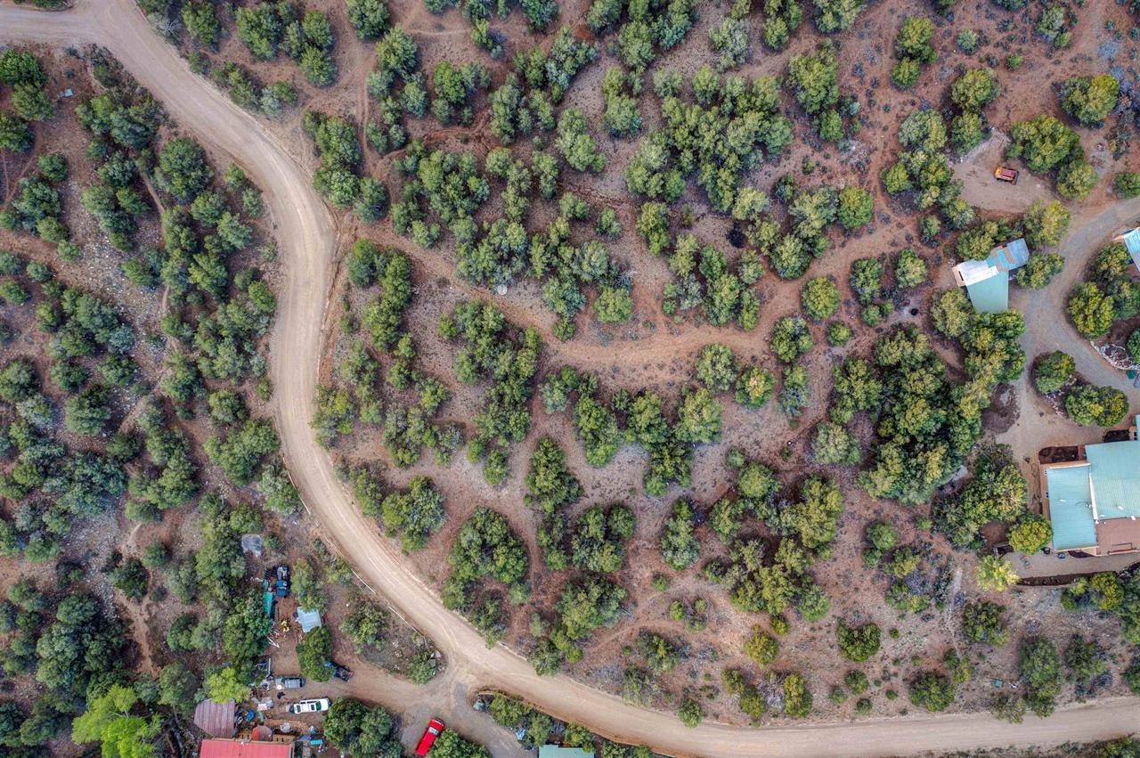 TBD Gallina Canyon Rd, Valdez, New Mexico image 23