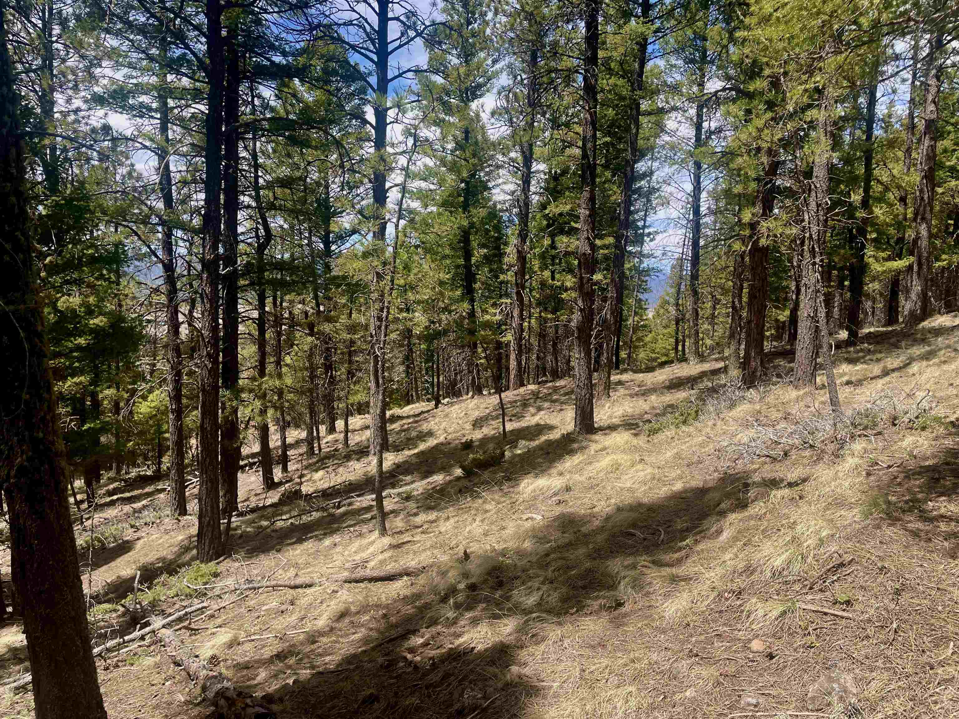 Lot 150 Back Basin Road, Angel Fire, New Mexico image 5