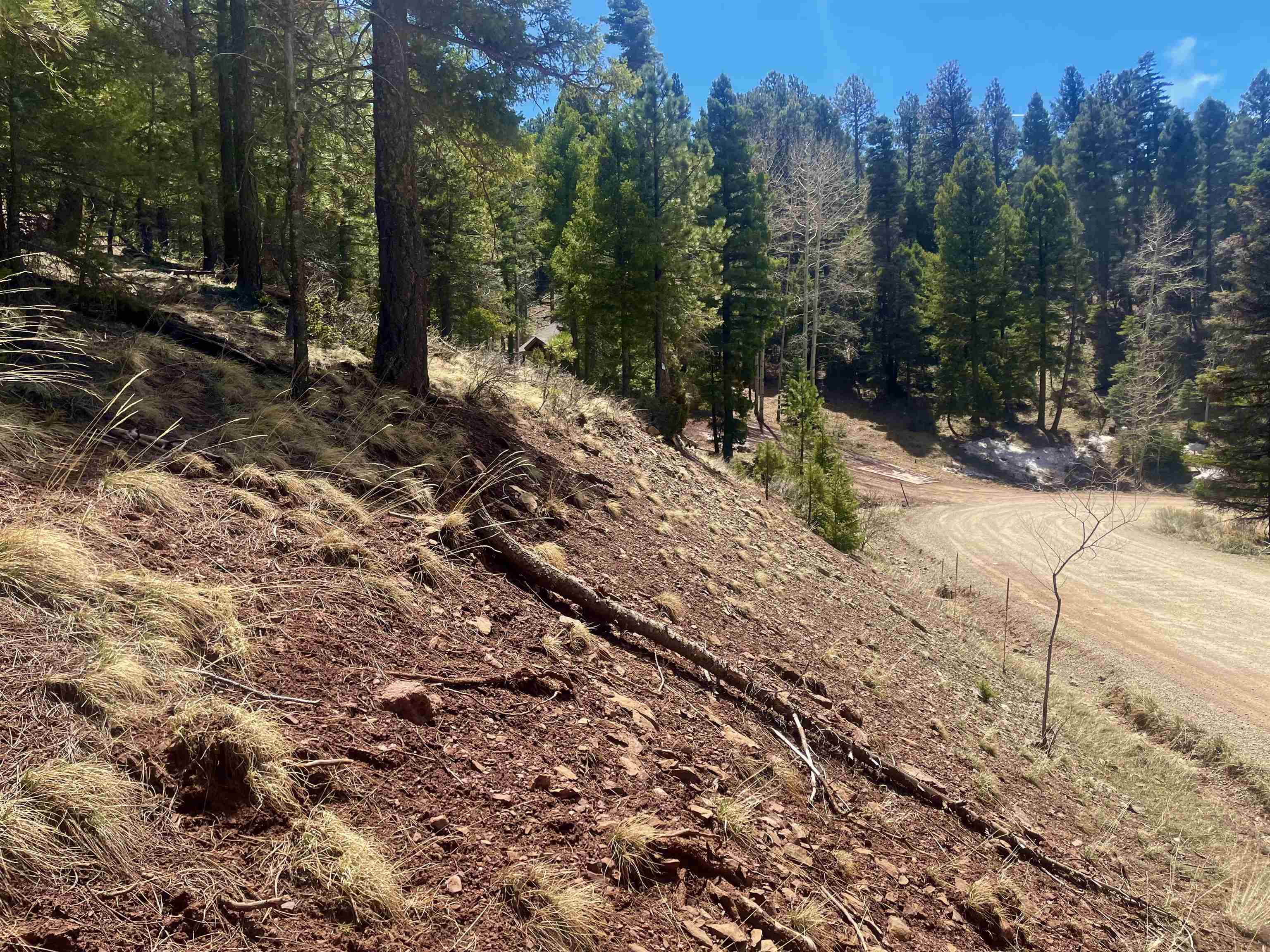 Lot 150 Back Basin Road, Angel Fire, New Mexico image 7