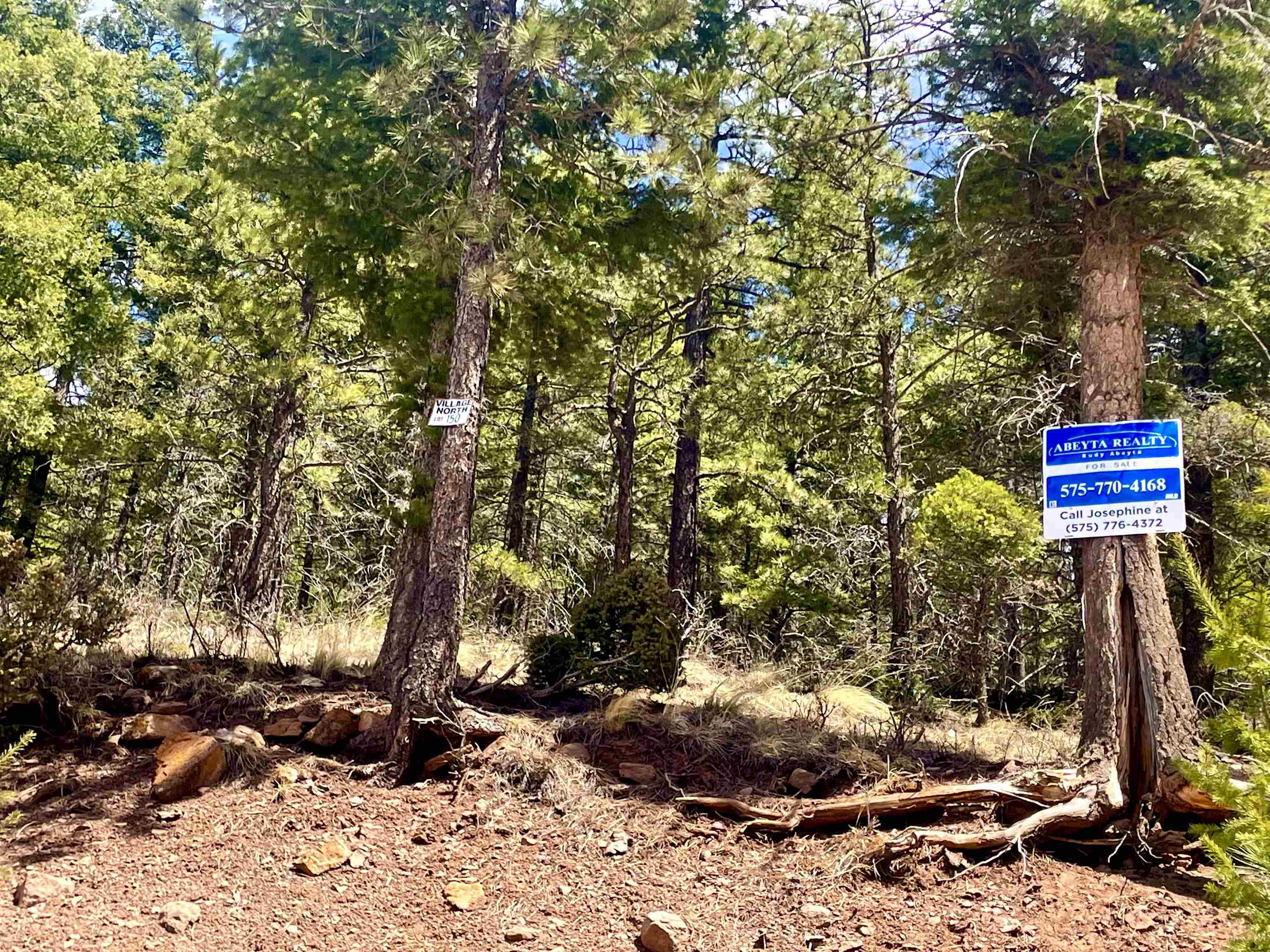 Lot 150 Back Basin Road, Angel Fire, New Mexico image 2