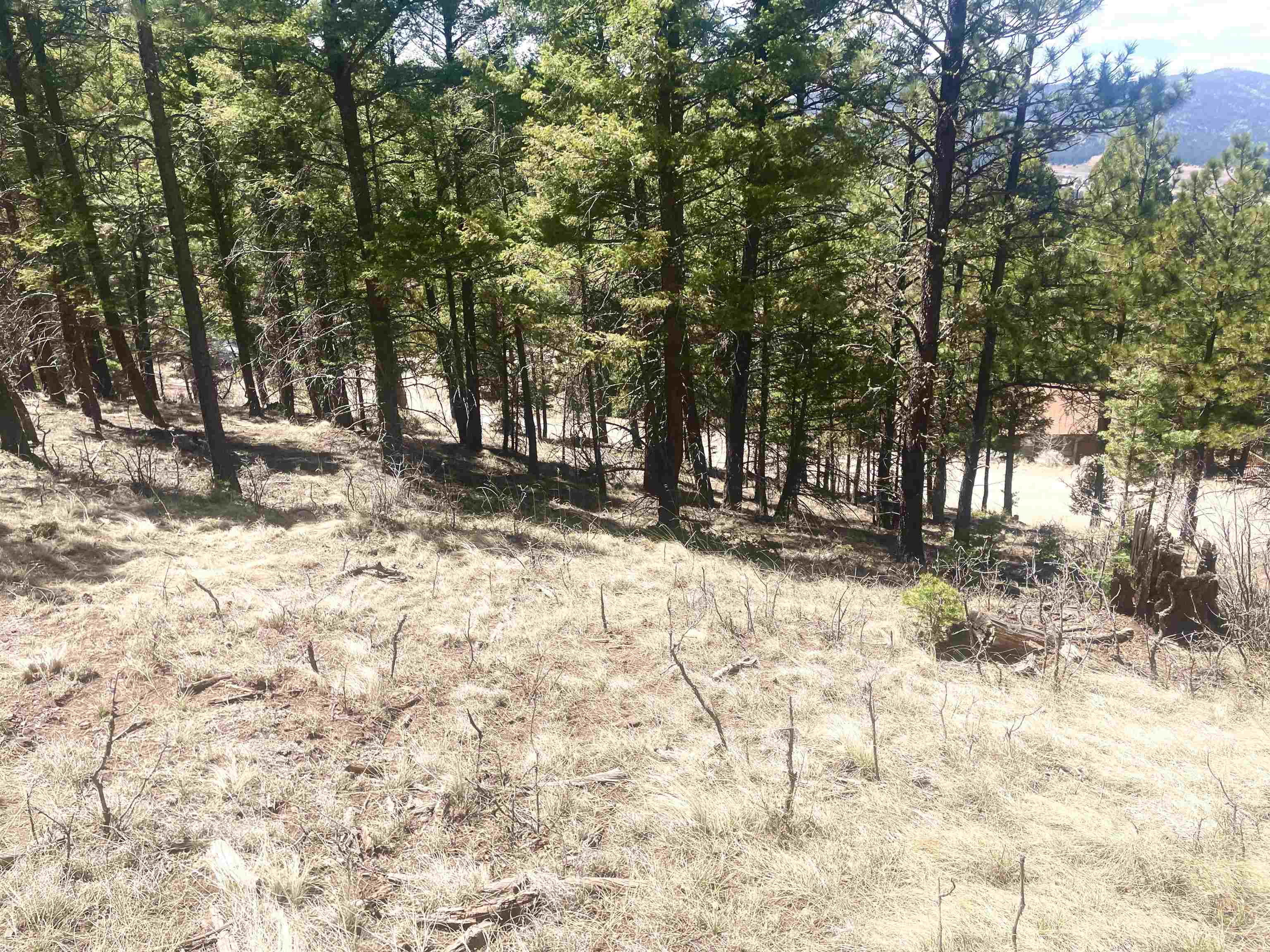 Lot 150 Back Basin Road, Angel Fire, New Mexico image 13