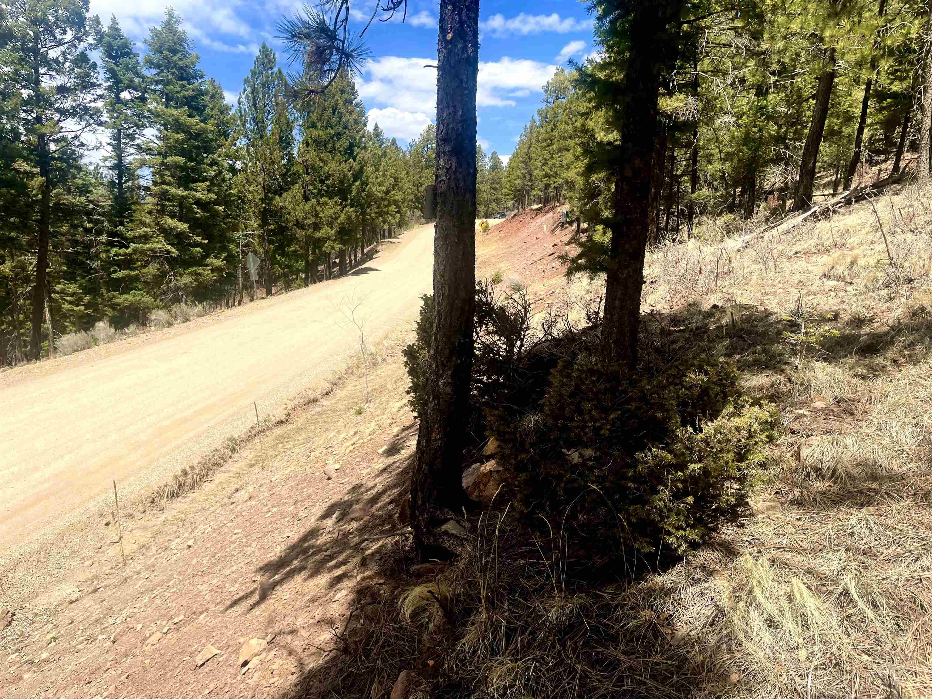 Lot 150 Back Basin Road, Angel Fire, New Mexico image 8