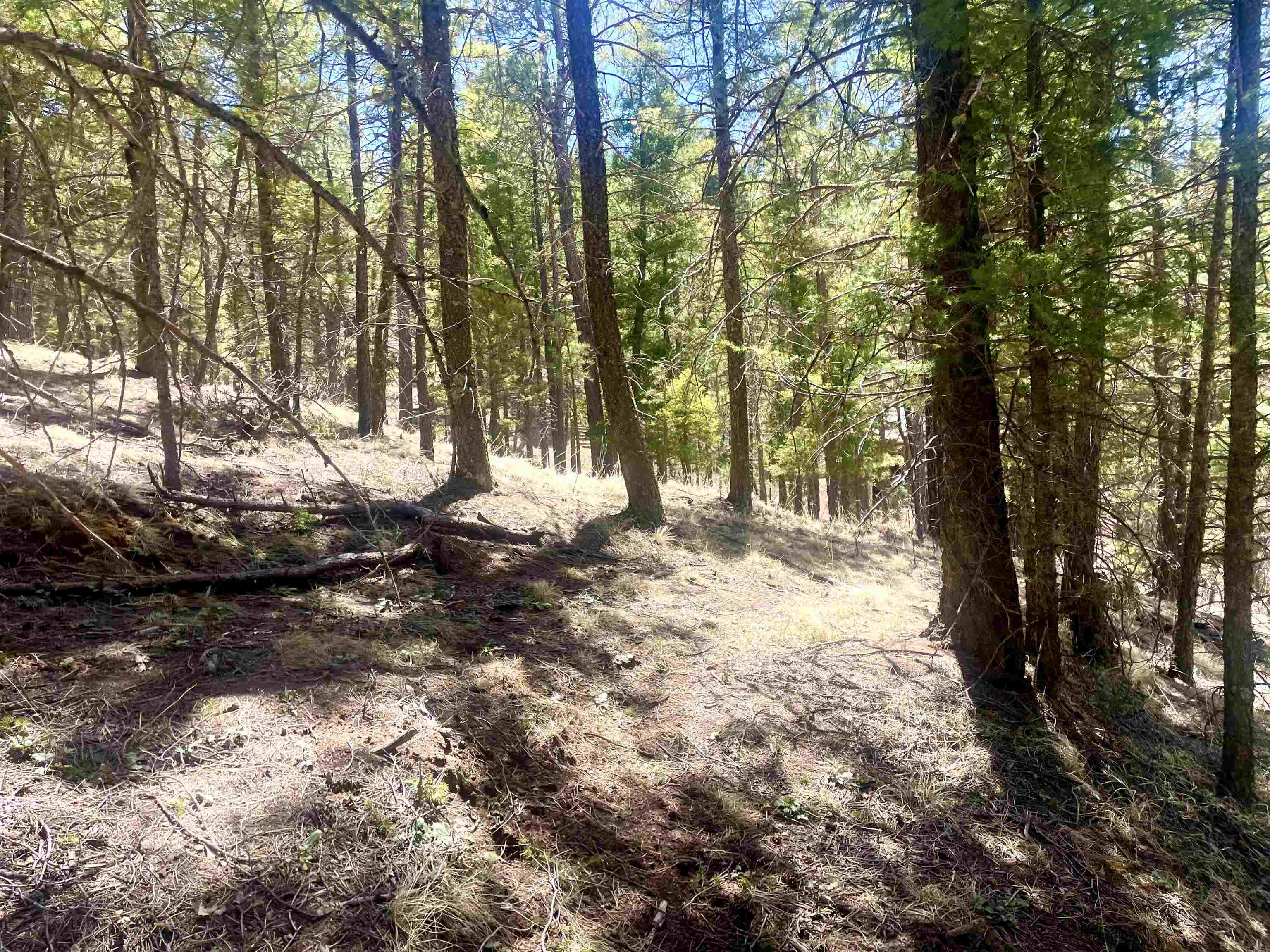 Lot 150 Back Basin Road, Angel Fire, New Mexico image 11