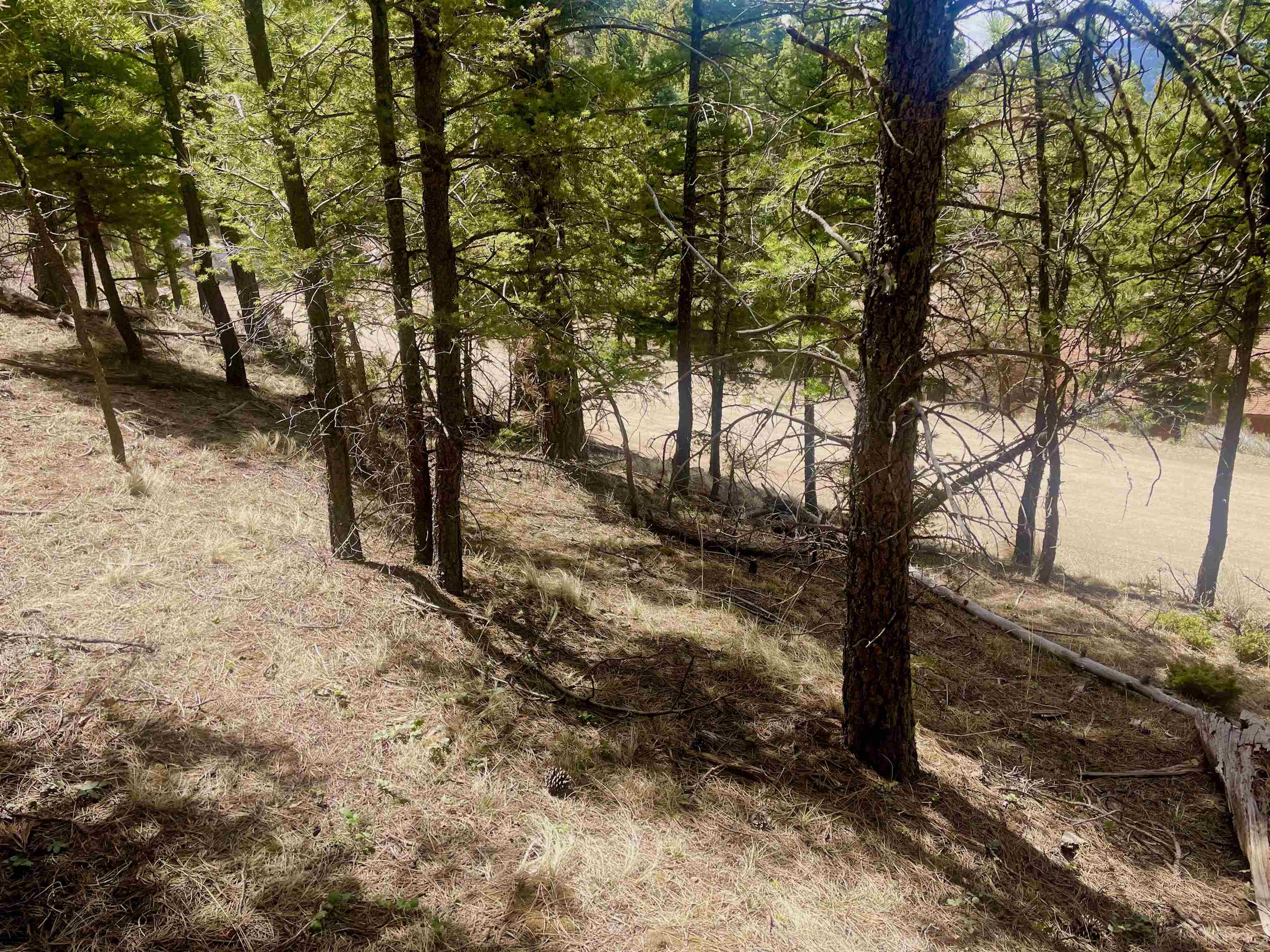 Lot 150 Back Basin Road, Angel Fire, New Mexico image 6