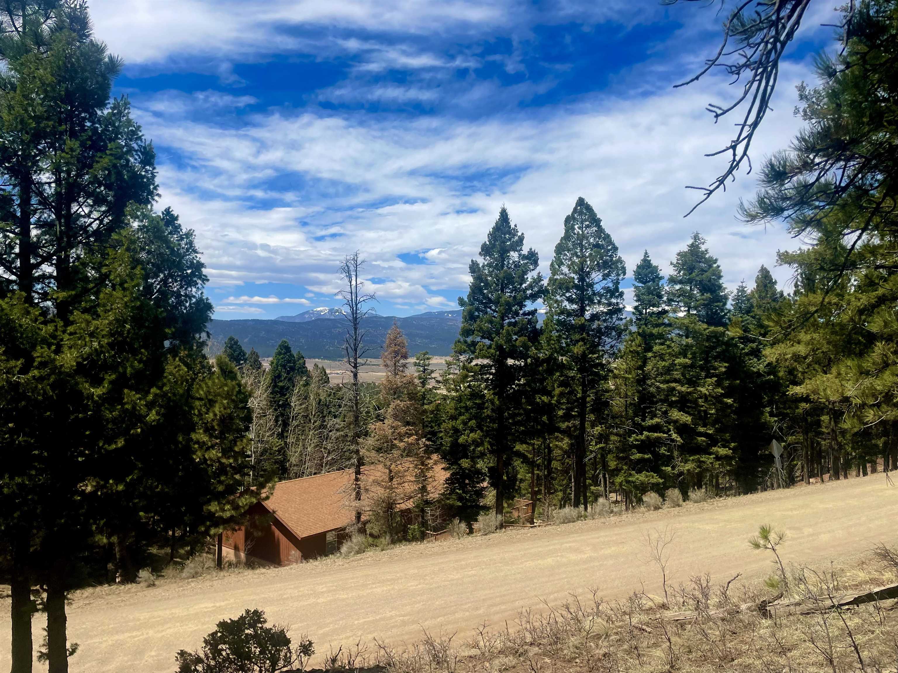 Lot 150 Back Basin Road, Angel Fire, New Mexico image 9