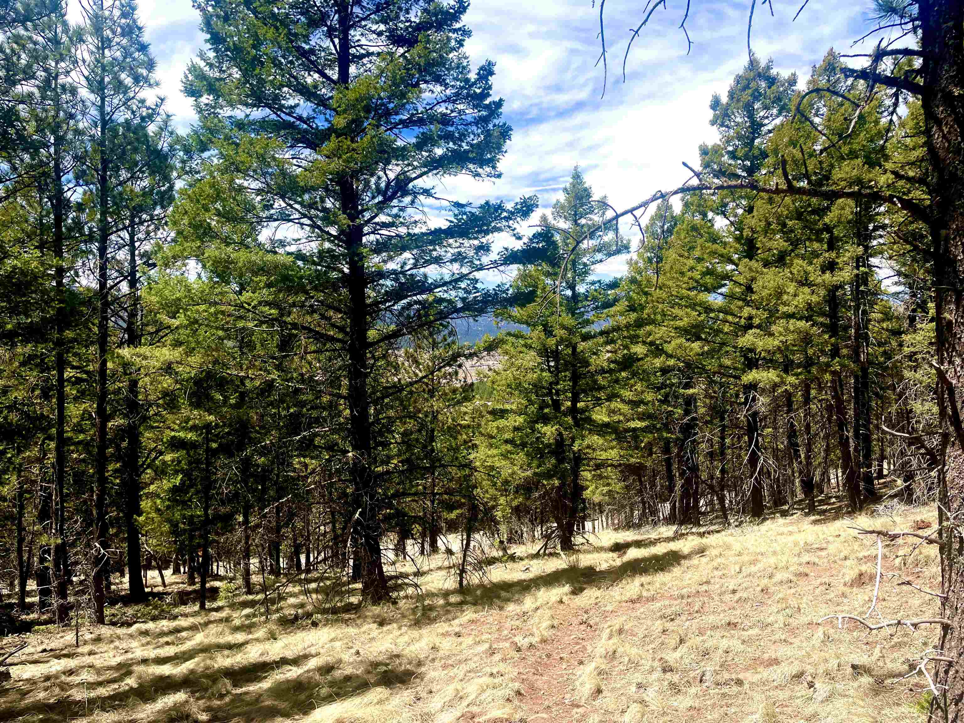 Lot 150 Back Basin Road, Angel Fire, New Mexico image 17