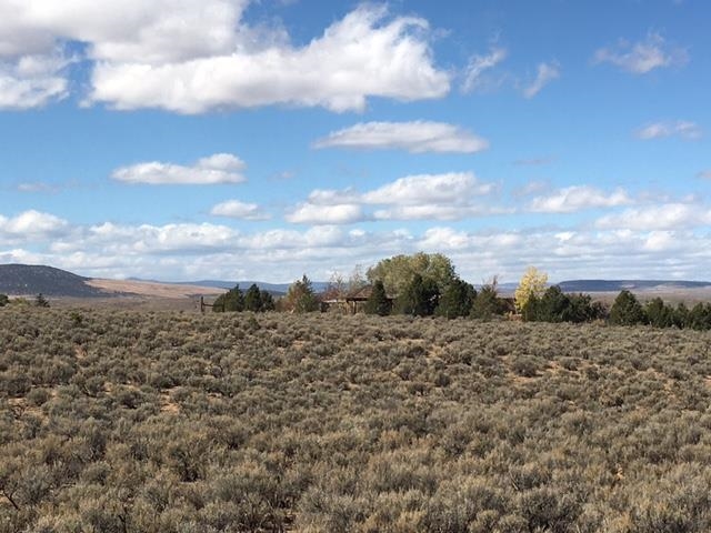 Tr A Rabbit Ridge Rd, Arroyo Hondo, New Mexico image 3