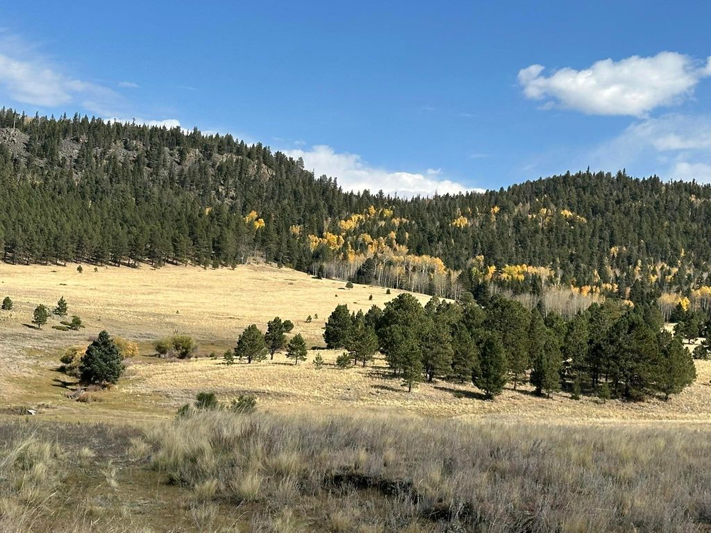 Photo of Nm120, Angel Fire, NM 87710 (MLS # 112495)