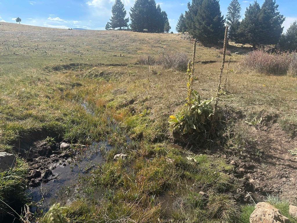 Photo of Nm120, Angel Fire, NM 87710 (MLS # 112495)