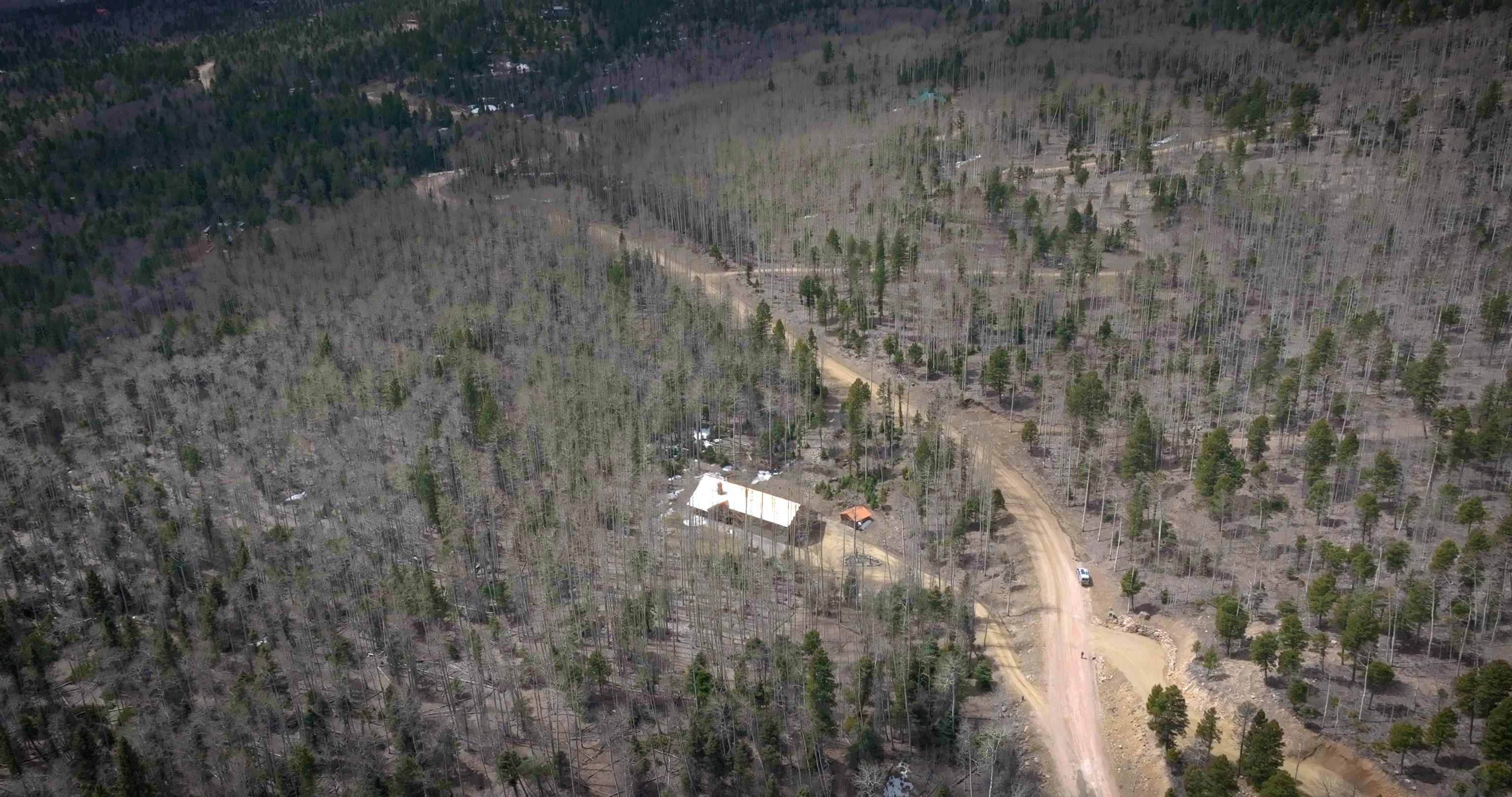 187 Brazos, Angel Fire, New Mexico image 48