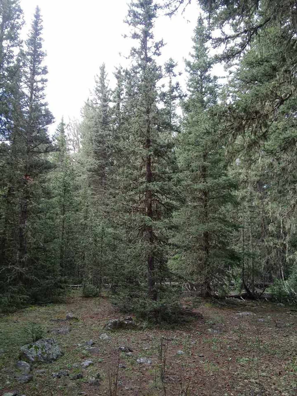 Photo of Lot 43 Happy Way, Angel Fire, NM 87710 (MLS # 106166)
