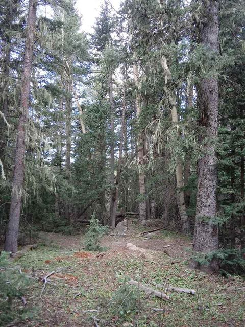 Photo of Lot 43 Happy Way, Angel Fire, NM 87710 (MLS # 106166)