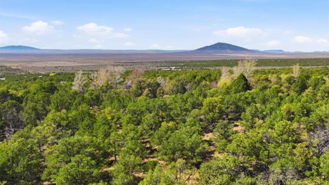 Vacant Land For Sale - Vir Sylvia Road 4 Plus Acres<br/> Lincoln County, Questa, NM 87556