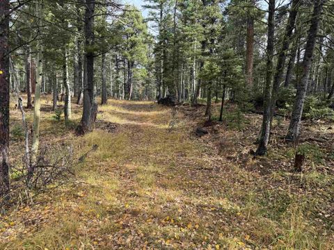 Photo of Lot 15 Vermejo Cir, Angel Fire, NM 87710 (MLS # 114120)