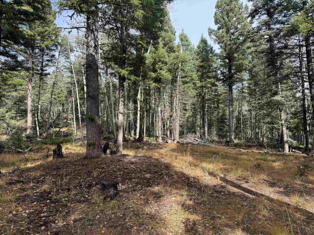 Photo of Lot 15 Vermejo Cir, Angel Fire, NM 87710 (MLS # 114120)