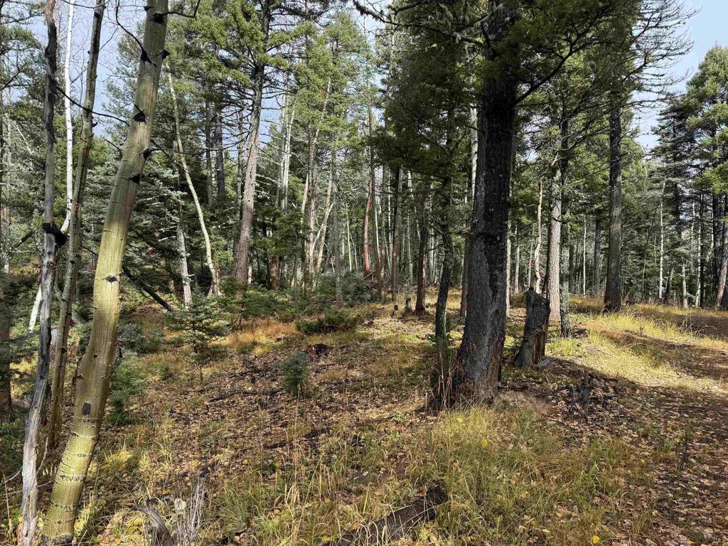 Photo of Lot 15 Vermejo Cir, Angel Fire, NM 87710 (MLS # 114120)