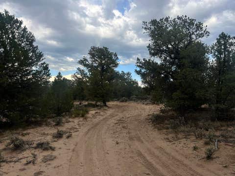 Vacant Land For Sale - TBD Forest Road 556<br/> Carson, NM 87517